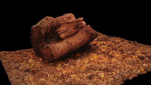 Wooden Log with Ground and Debris preview image